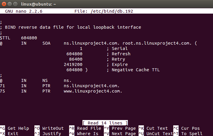 Illustration of Reverse DNS (PTR): What It Is and Why It Matters (2)